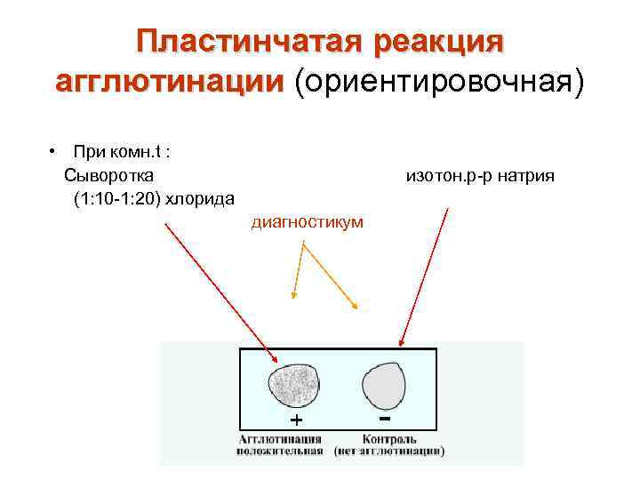 Реакция агглютинации микробиология схема