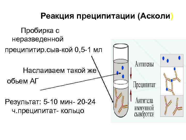 Реакция преципитации картинки