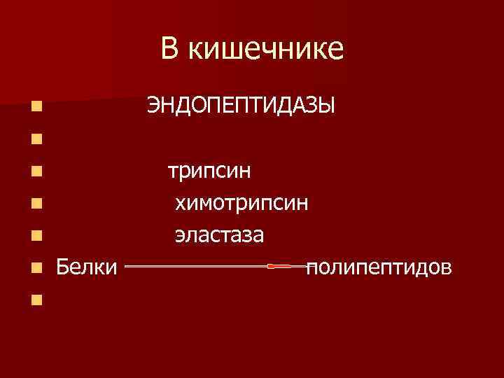 В кишечнике ЭНДОПЕПТИДАЗЫ n n n n Белки трипсин химотрипсин эластаза полипептидов 