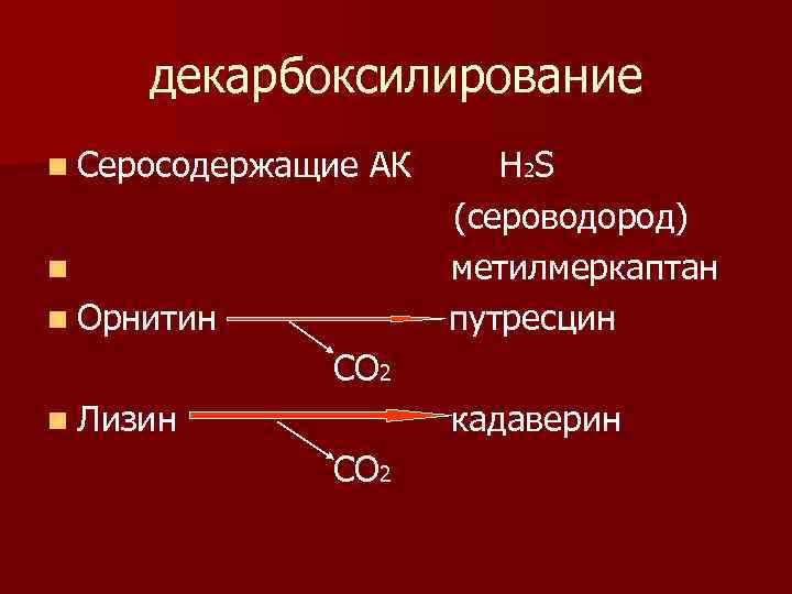 Метилмеркаптан. Лизин декарбоксилирование. Синтез метилмеркаптана. Источники метилмеркаптана и сероводорода биохимия. Путресцин декарбоксилирование.