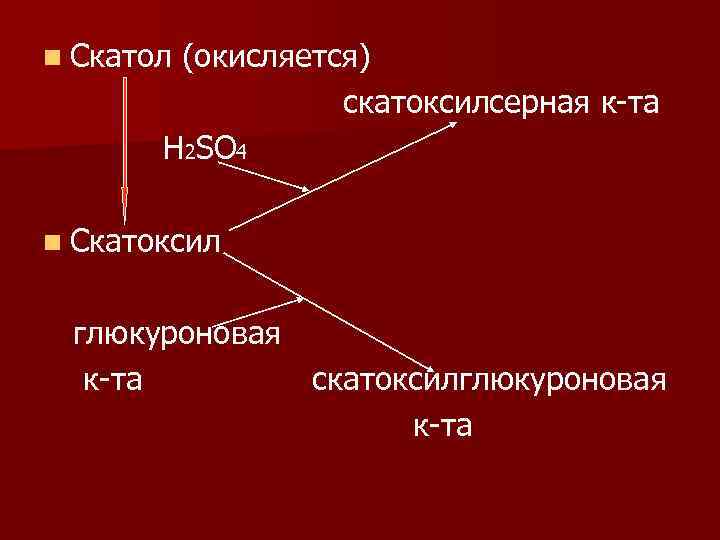 n Скатол (окисляется) скатоксилсерная к-та Н 2ЅО 4 n Скатоксил глюкуроновая к-та скатоксилглюкуроновая к-та