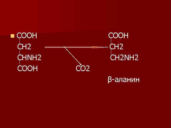 n СООН СН 2 СНΝН 2 СООН СН 2ΝН 2 СО 2 β-аланин 