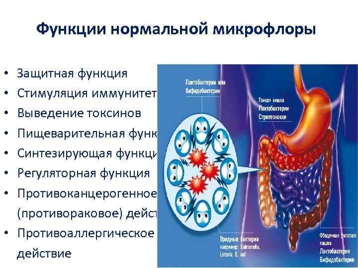 Язык при дисбактериозе кишечника фото