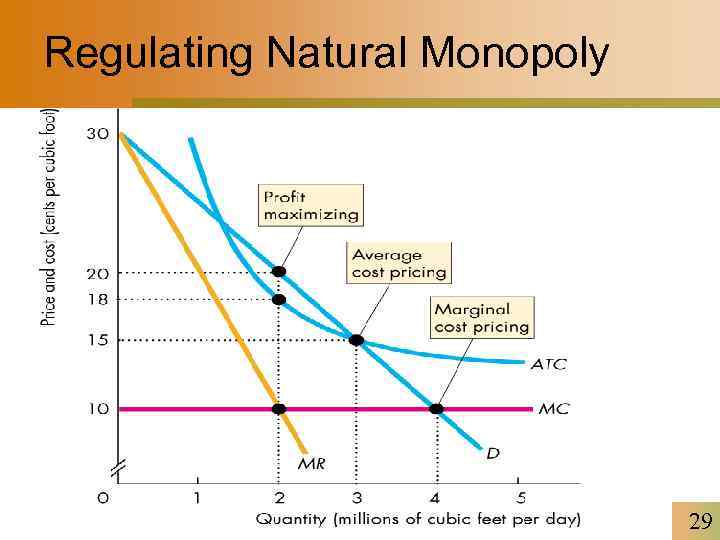 Regulating Natural Monopoly 29 