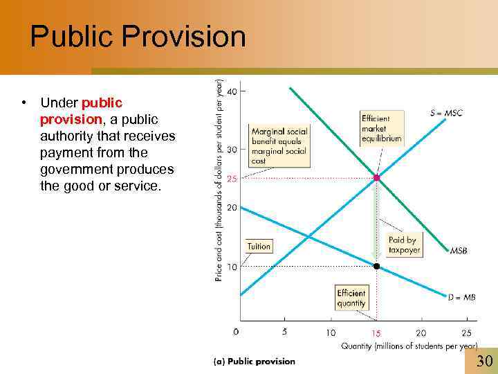 Public Provision • Under public provision, a public authority that receives payment from the