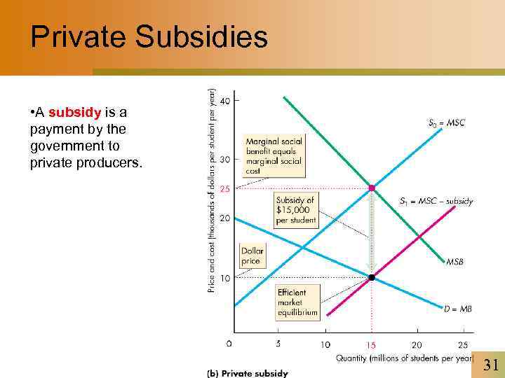 Private Subsidies • A subsidy is a payment by the government to private producers.