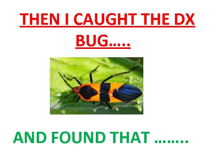 THEN I CAUGHT THE DX BUG…. . AND FOUND THAT ……. . 