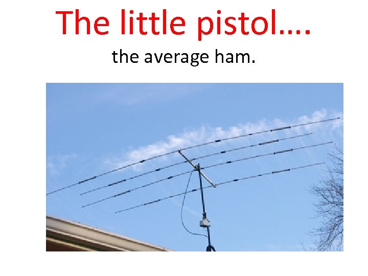 The little pistol…. the average ham. 