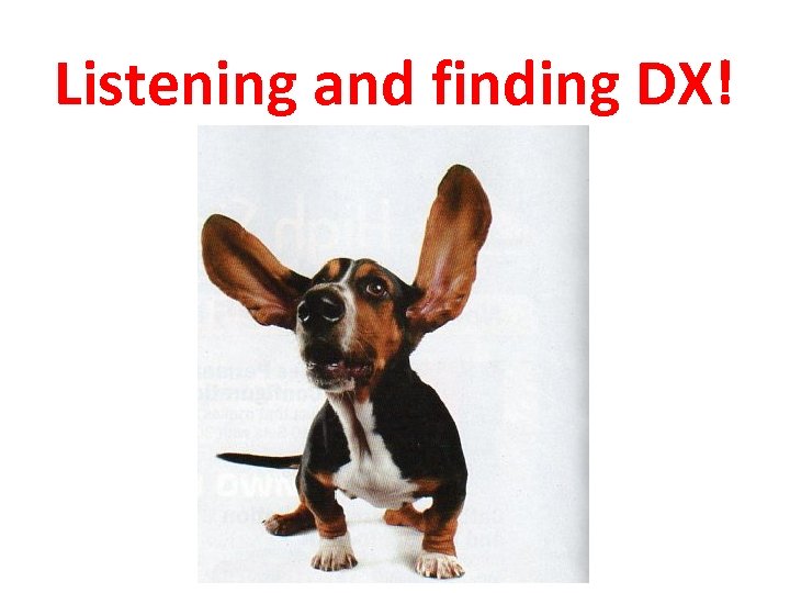 Listening and finding DX! 