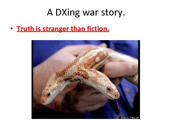 A DXing war story. • Truth is stranger than fiction. 