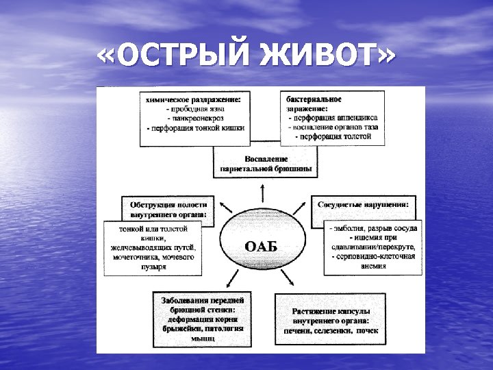  «ОСТРЫЙ ЖИВОТ» 