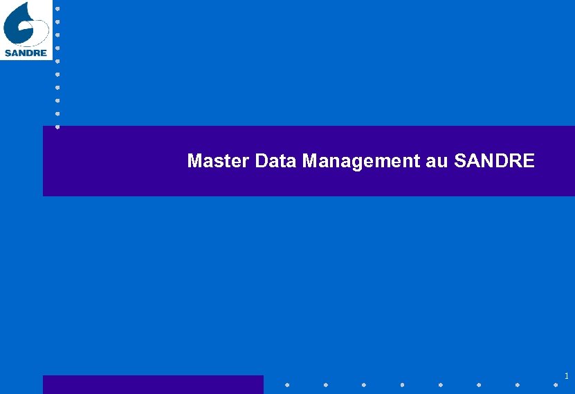 Master Data Management au SANDRE 1 