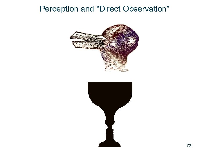 Perception and “Direct Observation” 72 