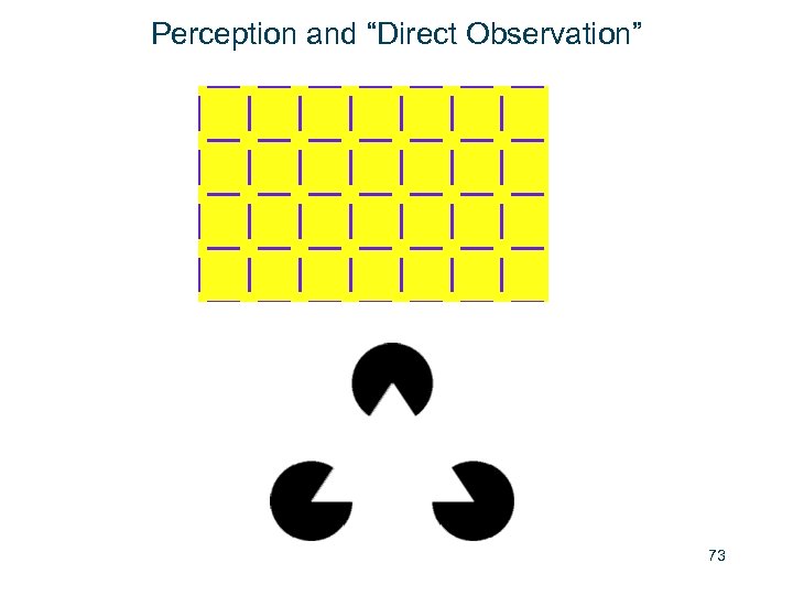 Perception and “Direct Observation” 73 