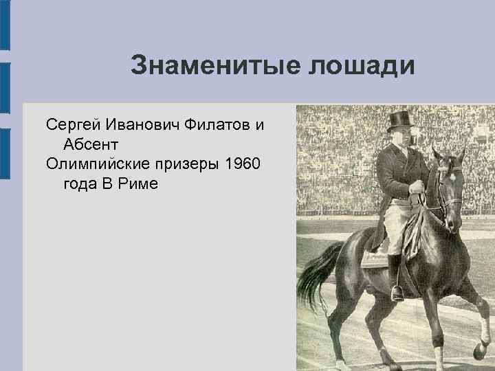 Кличка коня махотина главного вронского на скачках. Самые известные лошади в истории. Знаменитые лошади Казаков.
