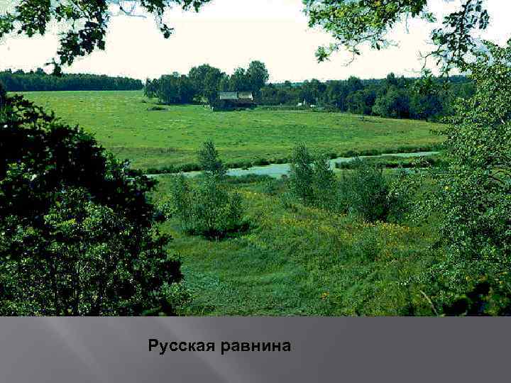 Русская равнина 