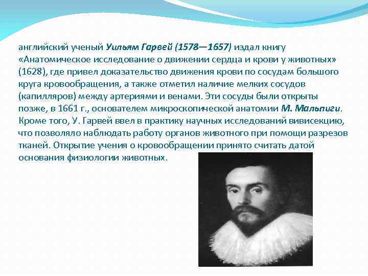 Презентация введение в анатомию и физиологию человека