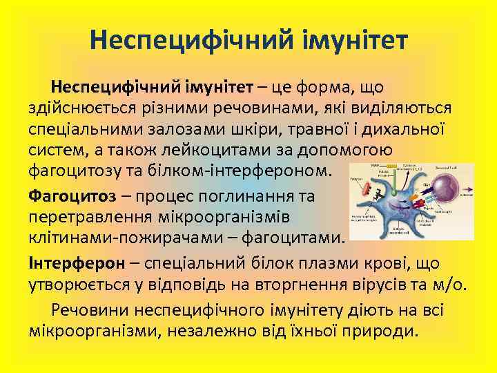 Неспецифічний імунітет – це форма, що здійснюється різними речовинами, які виділяються спеціальними залозами шкіри,