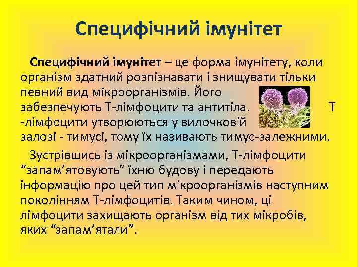 Специфічний імунітет – це форма імунітету, коли організм здатний розпізнавати і знищувати тільки певний