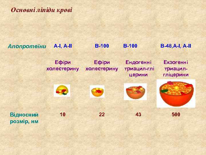 Основні ліпіди крові Відносний розмір, нм А І, А ІІ В 100 Ефіри холестерину