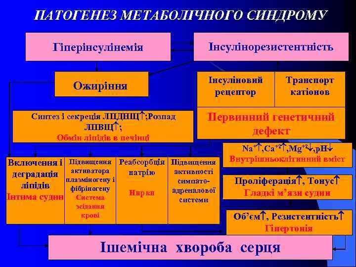 ПАТОГЕНЕЗ МЕТАБОЛІЧНОГО СИНДРОМУ Гіперінсулінемія Ожиріння Синтез і секреція ЛПДНЩ ; Розпад ЛПВЩ ; Обмін