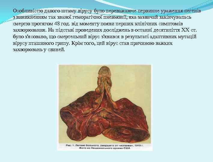 Особливістю даного штаму вірусу було переважаюче первинне ураження легенів з виникненням так званої геморагічної