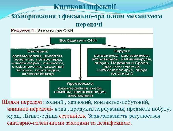 Кишкові інфекції Захворювання з фекально-оральним механізмом передачі Шляхи передачі: водний , харчовий, контактно-побутовий, чинники