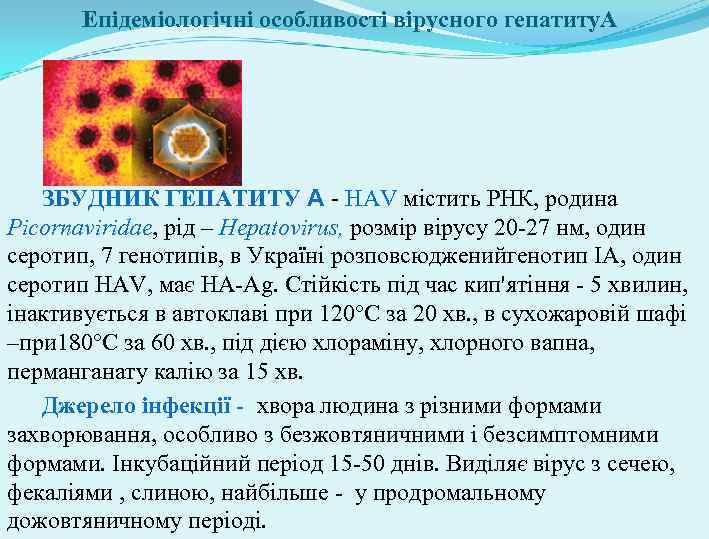 Епідеміологічні особливості вірусного гепатиту. А ЗБУДНИК ГЕПАТИТУ А - НАV містить РНК, родина Picornaviridae,