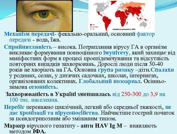 Механізм передачі- фекально-оральний, основний фактор передачі - вода, їжа. Сприйнятливість – висока. Потрапляння вірусу