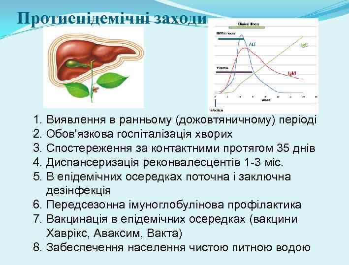 Протиепідемічні заходи 1. Виявлення в ранньому (дожовтяничному) періоді 2. Обов'язкова госпіталізація хворих 3. Спостереження
