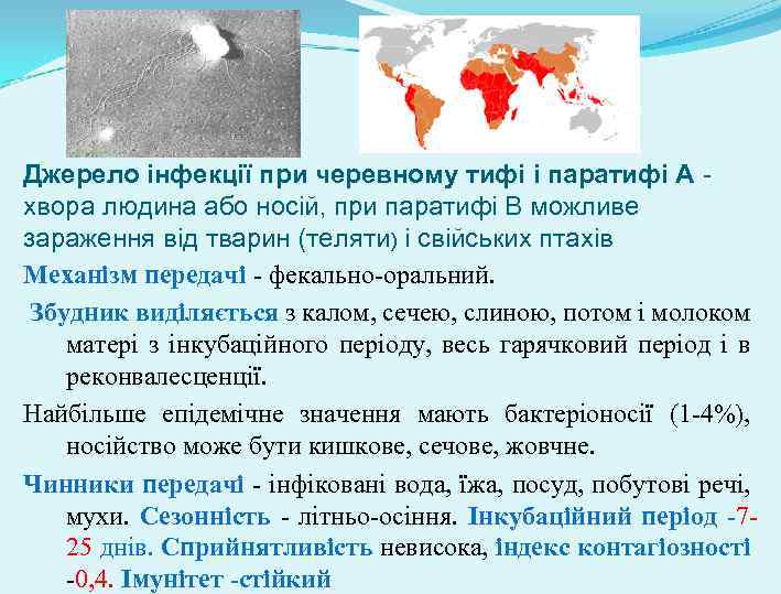 Джерело інфекції при черевному тифі і паратифі А хвора людина або носій, при паратифі