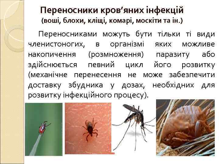 Переносники кров’яних інфекцій (воші, блохи, кліщі, комарі, москіти та ін. ) Переносниками можуть бути