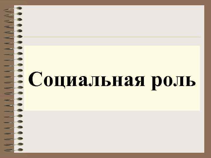 Социальная роль 
