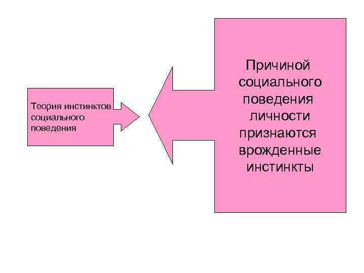 Теория инстинктов социального поведения Причиной социального поведения личности признаются врожденные инстинкты 