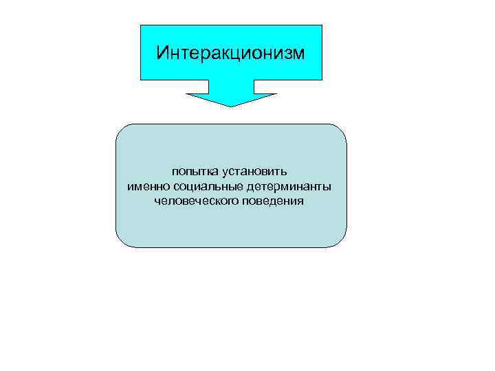 Интеракционизм попытка установить именно социальные детерминанты человеческого поведения 