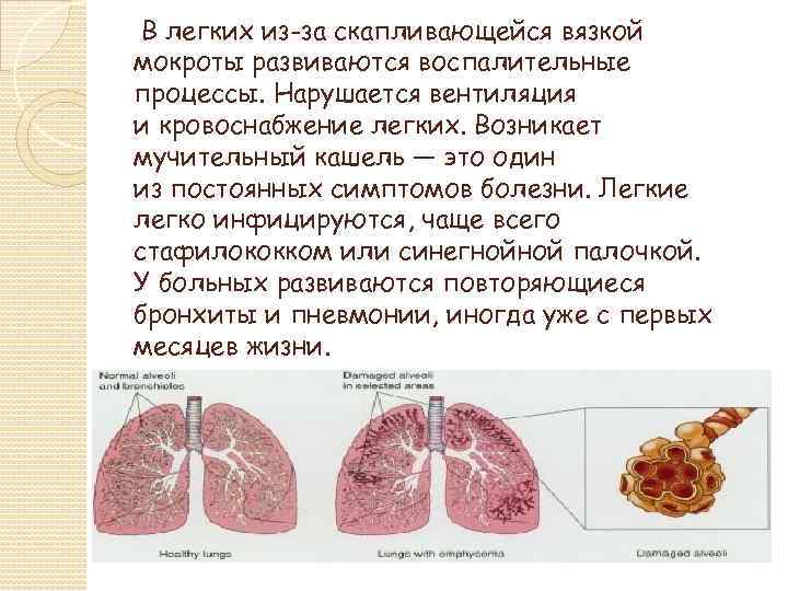 В легких из-за скапливающейся вязкой мокроты развиваются воспалительные процессы. Нарушается вентиляция и кровоснабжение легких.