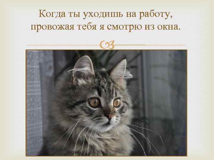 Когда ты уходишь на работу, провожая тебя я смотрю из окна. 