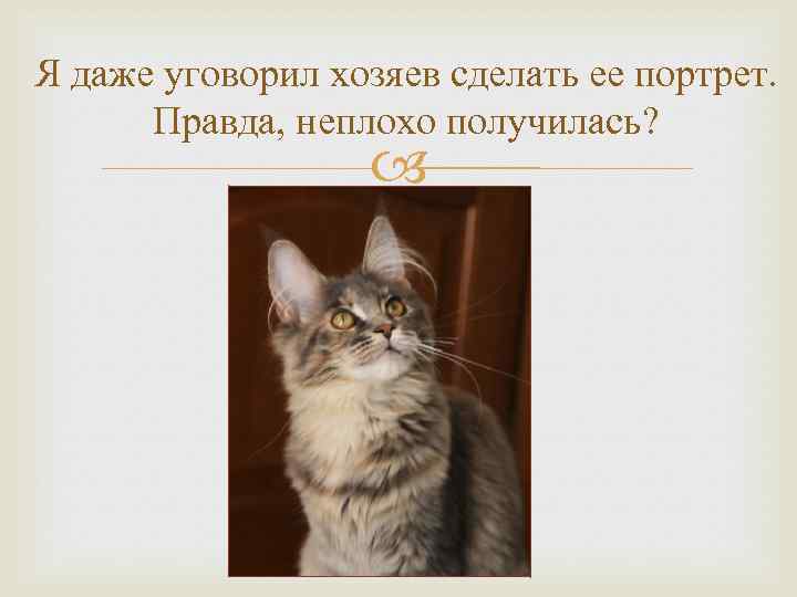 Я даже уговорил хозяев сделать ее портрет. Правда, неплохо получилась? 