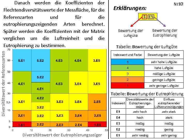 Diversitätswert der Referenzarten Danach werden die Koeffizienten der Flechtendiversitätswerte der Messfläche, für die Referenzarten
