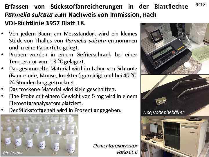 Erfassen von Stickstoffanreicherungen in der Blattflechte Parmelia sulcata zum Nachweis von Immission, nach VDI-Richtlinie