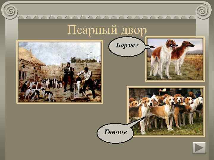 Псарный двор Борзые Гончие 