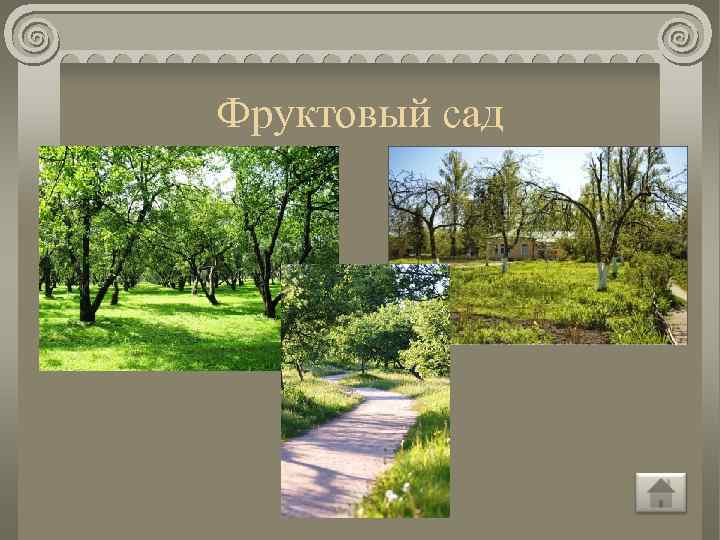 Фруктовый сад 