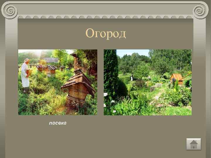 Огород пасека 