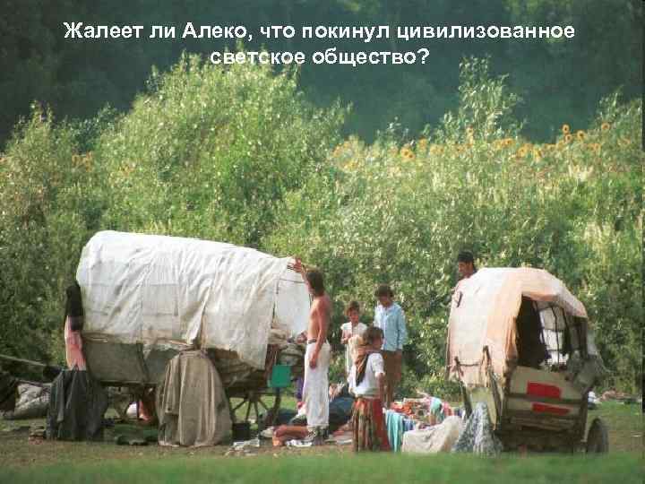Жалеет ли Алеко, что покинул цивилизованное светское общество? 