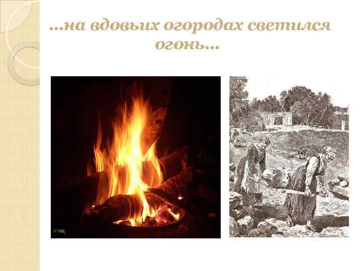 …на вдовьих огородах светился огонь… 