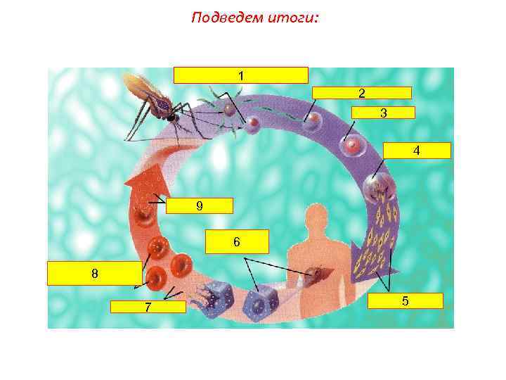 Подведем итоги: 1 2 3 4 9 6 8 7 5 