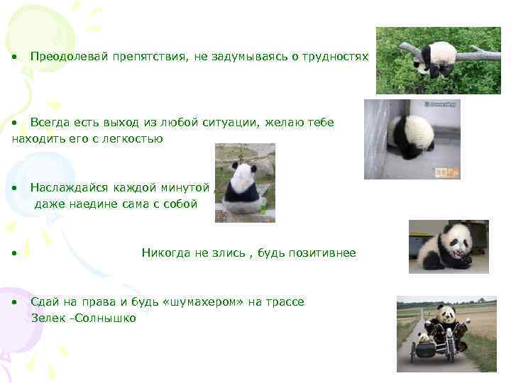  • Преодолевай препятствия, не задумываясь о трудностях • Всегда есть выход из любой