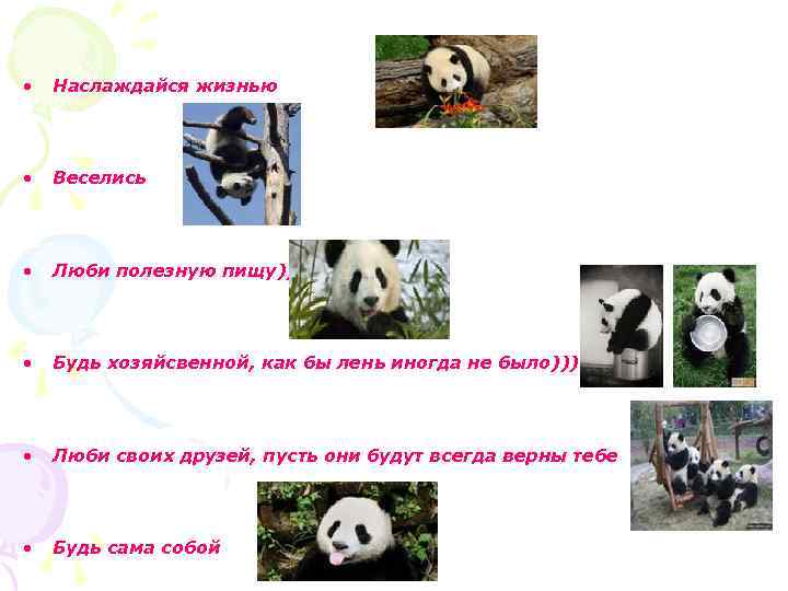  • Наслаждайся жизнью • Веселись • Люби полезную пищу))) • Будь хозяйсвенной, как