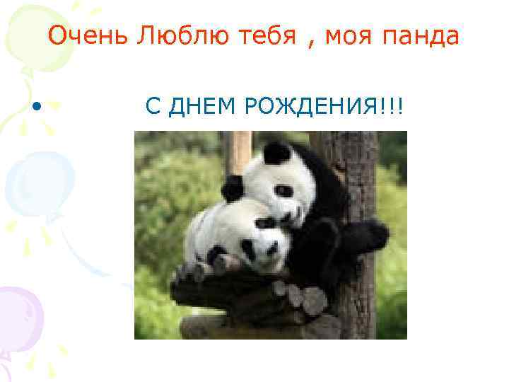 Очень Люблю тебя , моя панда • С ДНЕМ РОЖДЕНИЯ!!! 