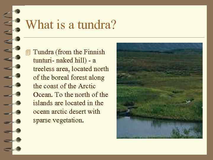 What is a tundra? 4 Tundra (from the Finnish tunturi- naked hill) - a